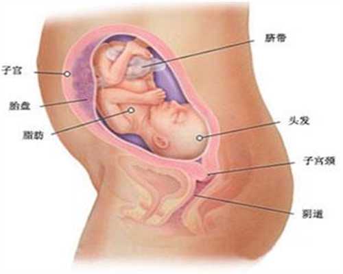 代孕几天可以查胎心，代孕几天检查胎心胎芽_俄