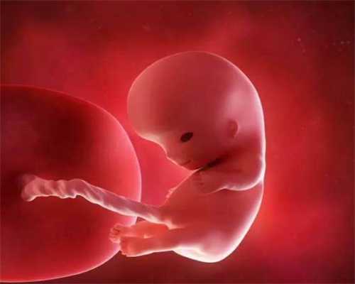 6个月引产胎儿有几斤_上海世纪代孕工资