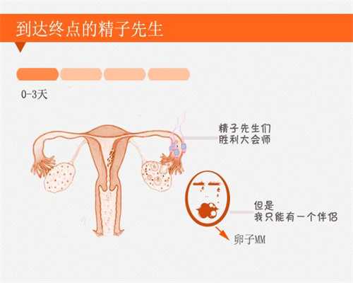 北京代孕中介哪家好-试管婴儿为什么不是取卵多