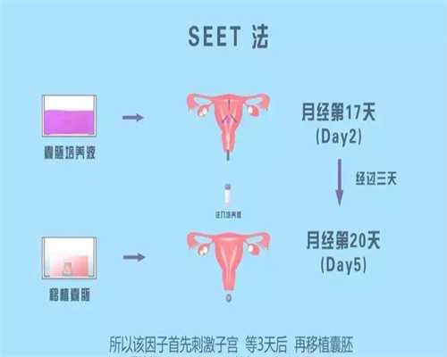 北京人工代孕合法吗-去泰国做试管要不要找翻译？看看医院、医生怎么说