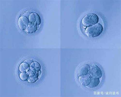 北京代孕怀双胞胎多少钱：北京代孕哪个地方最好：抱被