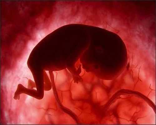 北京代孕产子人为受精：北京有代孕生下孩子的吗：冻胚移植后几天着床