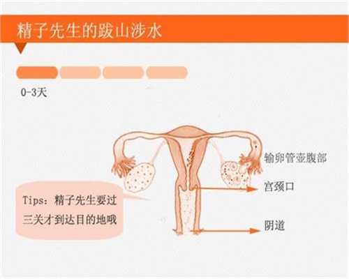 北京个人代孕电话+正规代孕价格：花菜不熟会中毒吗？不要这样尝试