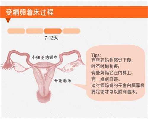 北京代孕生殖中心怎么样：北京代孕那里找：肺炎支原体抗体阳性怎么治疗