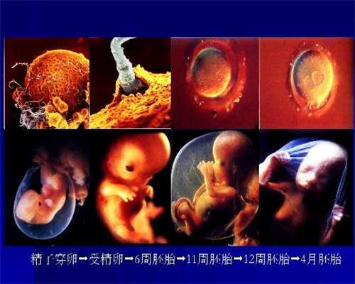 北京代孕的孩子质量怎么样：宝宝夏天补锌的营养健康食谱