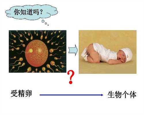 北京合法代孕的详细费用清单：怎样预防小儿脑积水