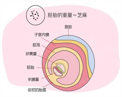 北京代孕是人工搜精吗：北京代孕双胞胎价格是多少：1617680022071