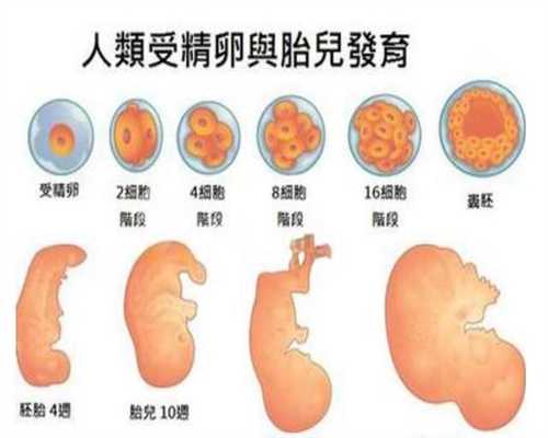 北京找代孕机构电话：北京代孕生子的费用一般是多少：1617684629260