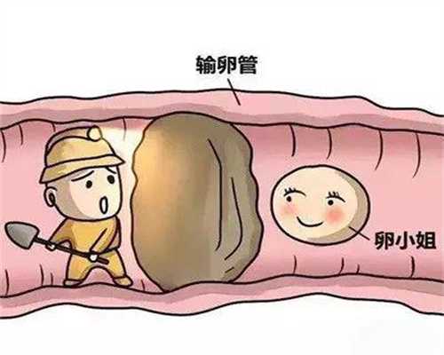 北京有人要代孕的吗-【精彩回顾】2019青岛首个平安分娩守护计划启动，孕妈纷