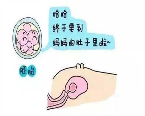 北京现在想去找代孕要多少钱_北京有人工代孕成功的么