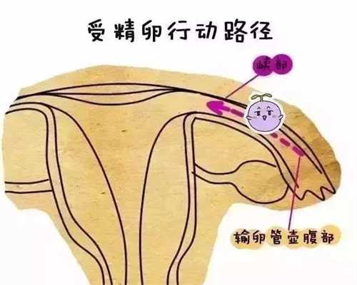 北京代孕妈妈有吗_北京正规试管代孕中介