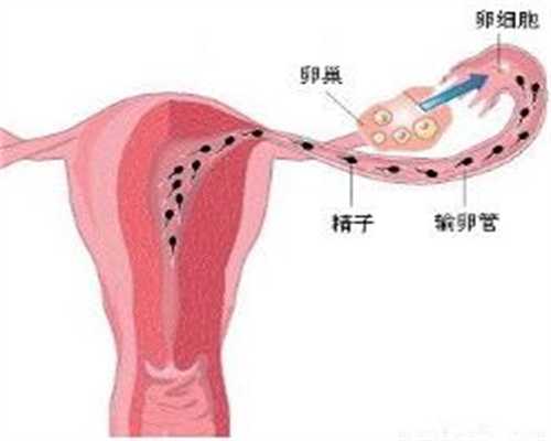 北京怎么找代孕个人_北京去找代孕靠谱机构