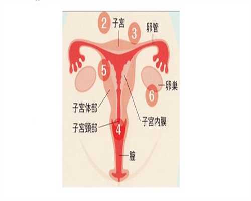 北京代孕产子价格费用介绍_北京艾滋病可以代孕么