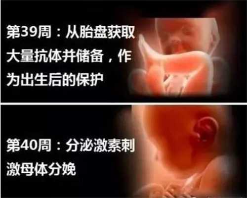 北京哪里找到代孕妇_北京代孕中心咨询电话