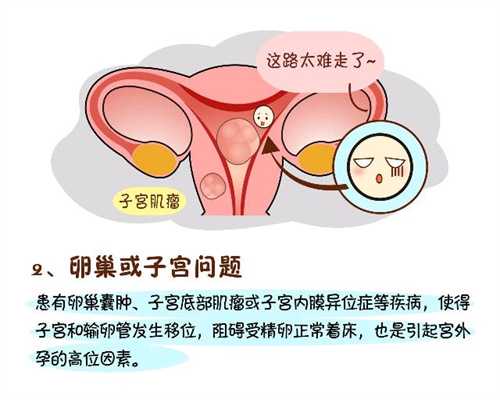 北京哪里找到代孕妇_北京代孕中心咨询电话