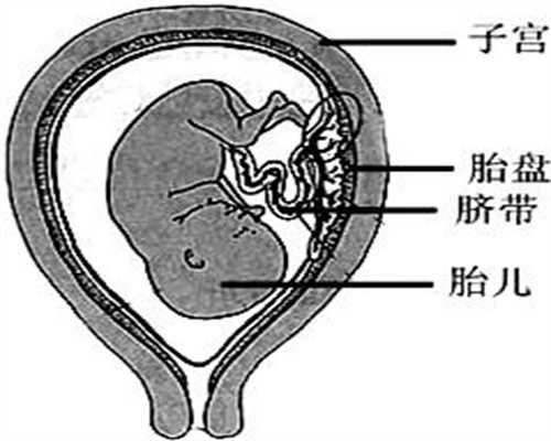 北京供卵与供胚那个成功率高_北京供卵失败_代怀小孩价格多少_代孕中介可靠吗