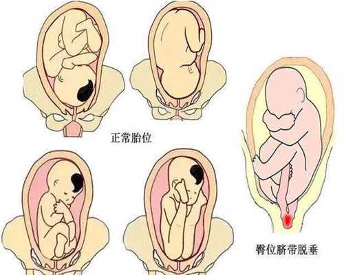 北京供卵费用高吗_北京私人供卵自孕试管婴儿机构_相信这是不少同性恋群体都