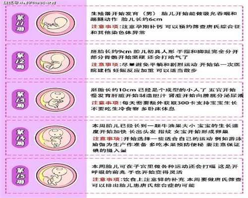 供卵知乎_北京供卵自怀需要检查哪些内容_2020代孕价格_代孕公司靠谱吗