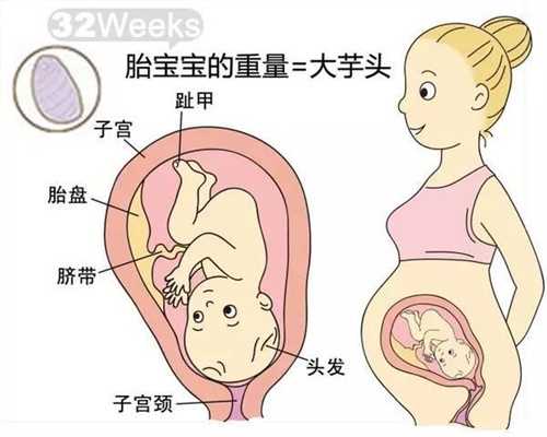 北京默默供卵网联系方式_北京供卵对身体有什么影响_智力有问题的胎儿表现