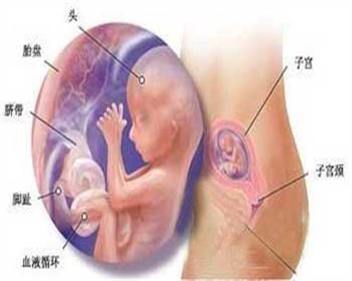 北京卵巢早衰能够供卵怀孕吗_北京金贵子供卵靠谱吗_刚流产什么时候可以运动