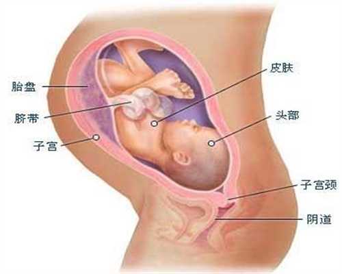 公立医院供卵试管婴儿_北京供卵助孕需求大的原因_供卵去哪里找剖腹产刀口在