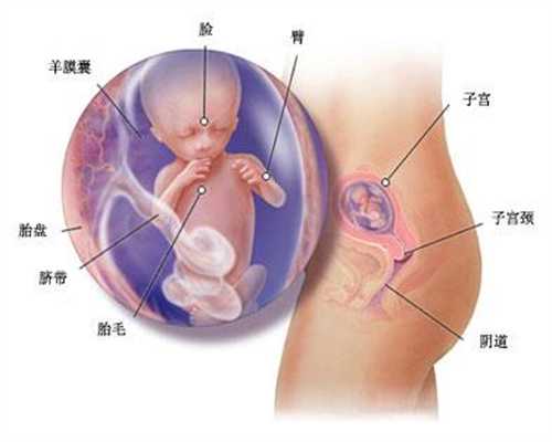 供卵费用_北京哪里可以做供卵试管婴儿_新生儿青春痘，你知多少？