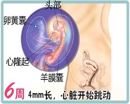 北京供卵公司_供卵试管婴儿到 北京坤和_孕酮需要检查几次