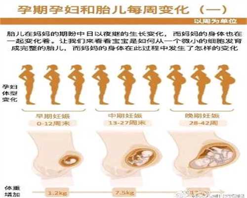 供卵骗局揭秘_北京公立医院供卵要等多久_代孕哪家好_怎么与代孕人联系