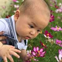 代母与宝宝有关系吗_代母产子金卡戴珊_广州三甲医院做一次试管婴儿全部费用